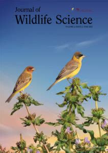 Arrival, rise, fall, and again rise of the Asiatic lion Panthera leo ...