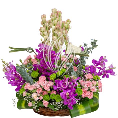 Viola Flourish – May Flower