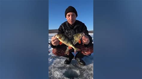 РЫБАЛКА В БУРЯТИИ! #рыбалка - YouTube