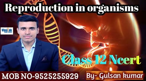 Class 12 Reproduction Videos 的图像结果