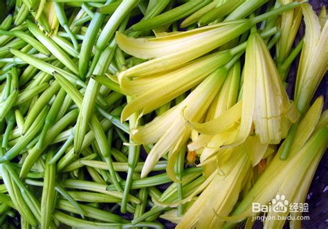 黄花菜的功效与作用及食用方法-百度经验