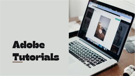 Image result for Adobe Software Introduction