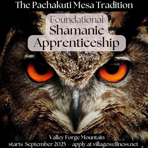 Foundational Shamanic Apprenticeship in the Pachakuti Mesa Tradition ...