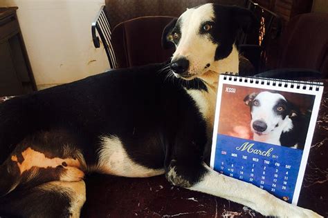 Animal Matters To Me