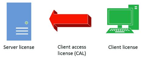Image result for Client Access License Example