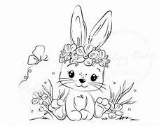 Image result for Cute Brown Baby Bunny