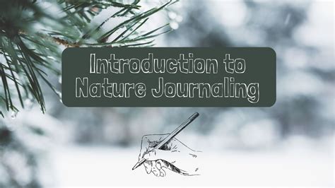 Introduction to Nature Journaling, Hemlock Crossing County Park, West ...