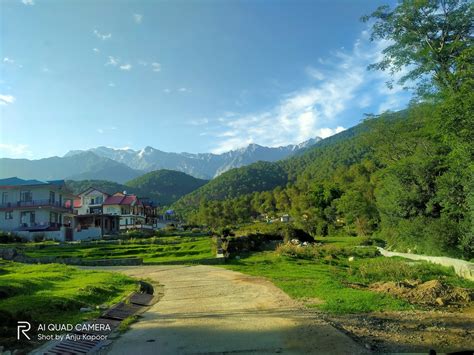 Palampur Holiday Rentals & Homes - Himachal Pradesh, India | Airbnb