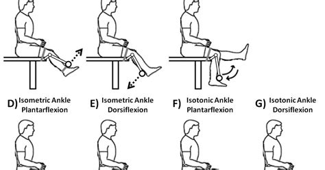 Workout: Isometric Exercises