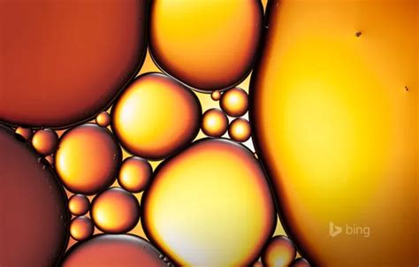 Wallpaper water, drops, balls, bubbles, oil, round, oval for mobile and ...
