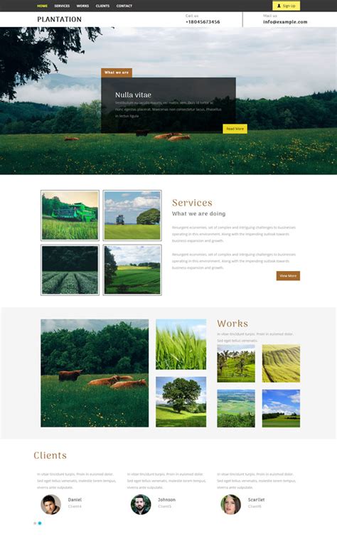 园林景观企业网站建设|景观企业网站模板-易优CMS