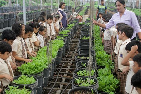 Learning Curriculum of AMNS International School | Academics of AMNS ...