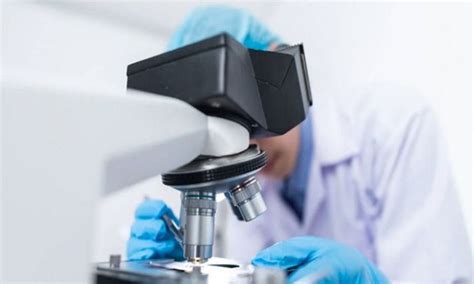 Study shows how osteosarcomas are diagnosed, treated