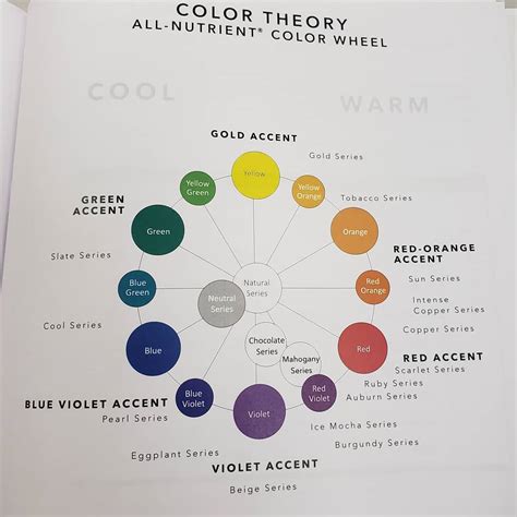 The Best Hair Color Chart with All Shades of Blonde, Brown, Red & Black