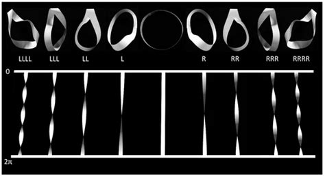 A Haptic Model for the Quantum Phase of Fermions and Bosons in Hilbert ...