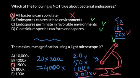 Image result for Microscope Magnification