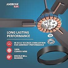 Buy Havells 1200Mm Ambrose Bldc Motor Ceiling Fan|Premium Matt Finish ...