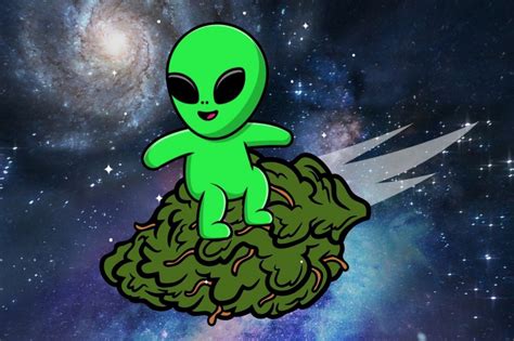 Image result for Alien OG Strain Info