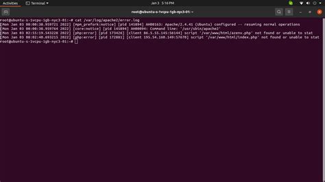 Apache2 Log 的图像结果