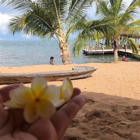 NDOLE BAY LODGE ON LAKE TANGANYIKA (Nsumbu National Park) - Lodge ...