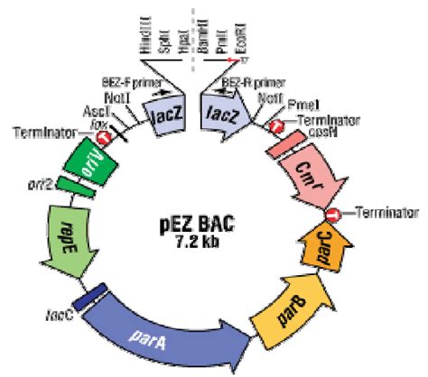 Life Technologies India -- Life Tech India
