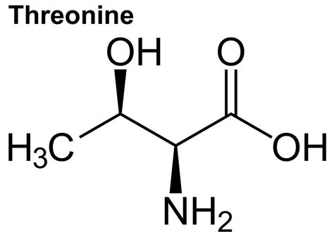 Threonine function, uses, food sources & side effects