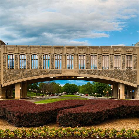 Virginia Tech - Average SAT Scores and Admission Chances by SAT