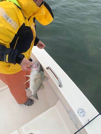 Salty Fly Cape Cod (Barnstable) - 2022 What to Know Before You Go (with ...