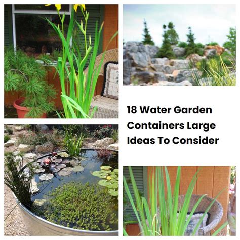 18 Water Garden Containers Large Ideas To Consider | SharonSable