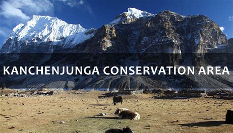 7 Best Wildlife Sanctuaries To Visit in Nepal - lifeberrys.com