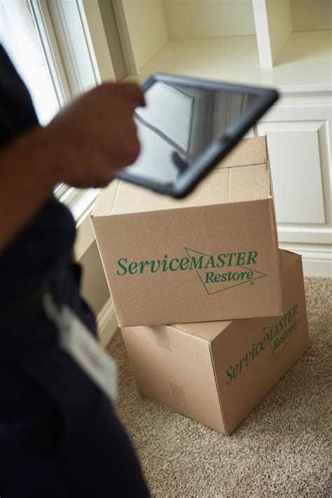 Image result for ServiceMaster Services