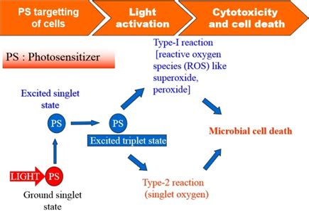 RRCAT- Raja Ramanna Centre for Advanced Technology, Indore