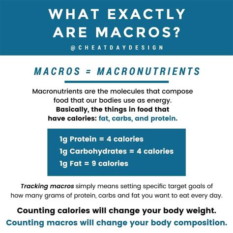 What Are Macros (Macronutrients), And Why Do They Matter?