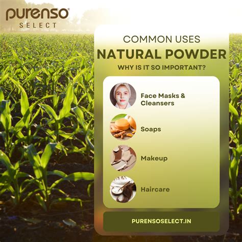 Dashmool Powder â€“ Ayurvedic Herbal Blend for Skin & Hair | Purenso ...