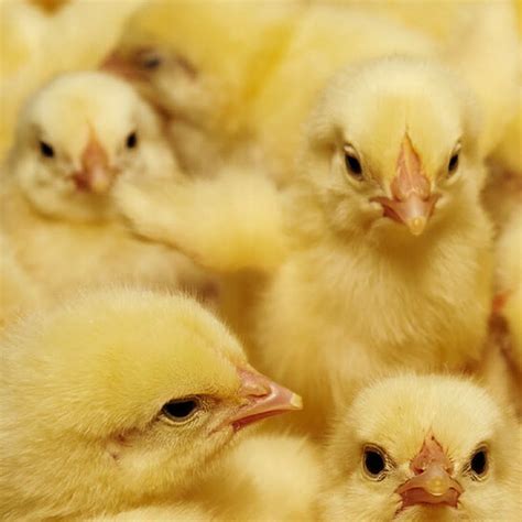 Recuerdos de mi padre | Meer