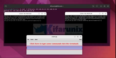 Image result for Cssh App.com
