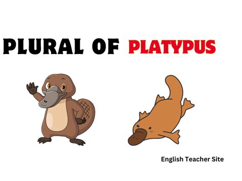 What's the Plural of Nemesis: Understanding English Nouns - English ...