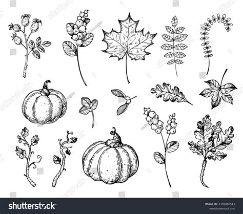 Fall Sketches