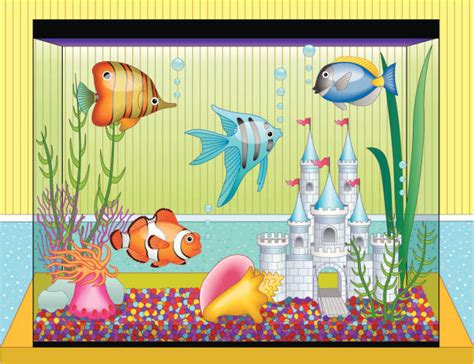 Aquarium Clip Art, Vector Images & Illustrations - iStock