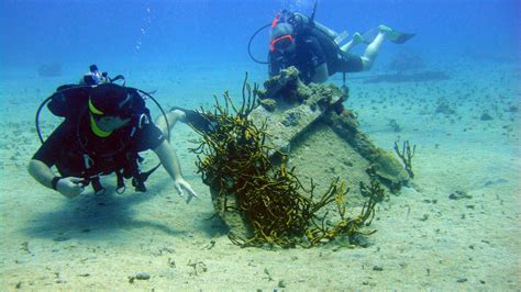 Discover the Best Marine Biology Programs in Canada