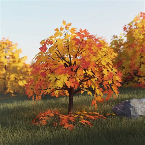 Image result for Outside Fall Trees