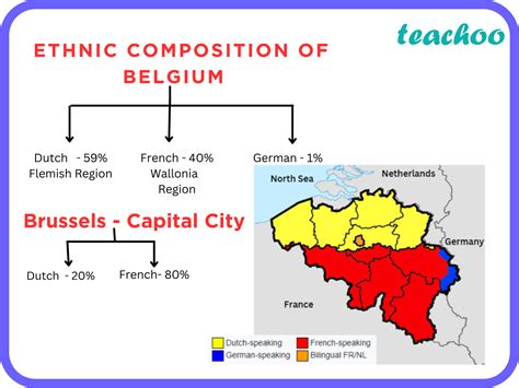 What Is Belgium Model Class 10 at Ruby Dougharty blog