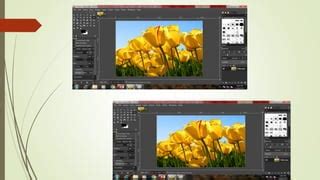 Image result for GIMP Basics