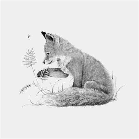 Buy Ilustración Zorro Curioso, Jugando Con Plantas, Dibujo Animal a ...