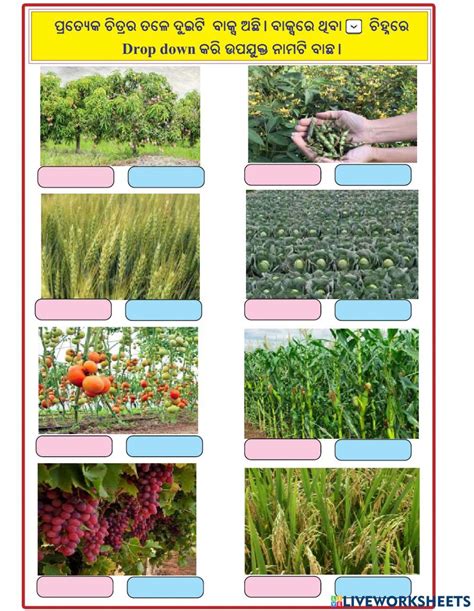 8th Standard Science 1st Lesson Exercise 的图像结果