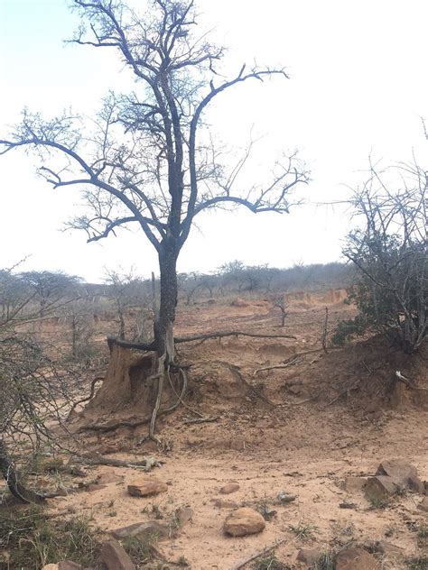 INTIBANE LODGE (Melmoth) - Cottage Reviews, Photos, Rate Comparison ...