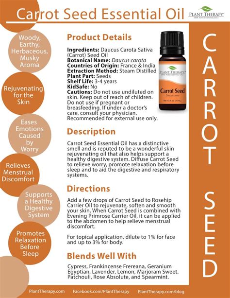 Best Uses For Carrot Seed Essential Oil at Ashley Eaton blog
