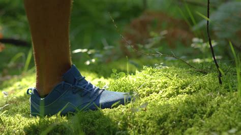 Sporting Goods &nd Toys | Celanese