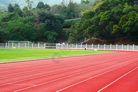 Crowned Sportsfield 的图像结果