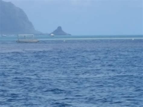 CAPTAIN BOB'S PICNIC SAIL (2026) All You Need to Know BEFORE You Go ...